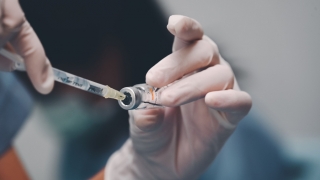 4 loại vaccine quan trọng sẽ được đưa vào Chương trình Tiêm chủng mở rộng trong giai đoạn 2021-2030