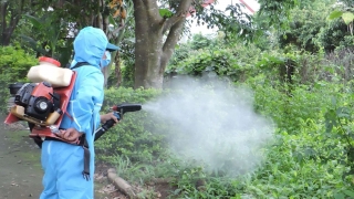 Bắc Giang: Triển khai các hoạt động hưởng ứng Ngày Asean phòng, chống sốt xuất huyết lần thứ 14