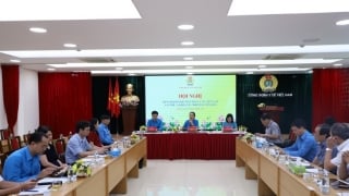 Hội nghị Ban chấp hành Công đoàn Y tế Việt Nam lần thứ 5 khóa XIV