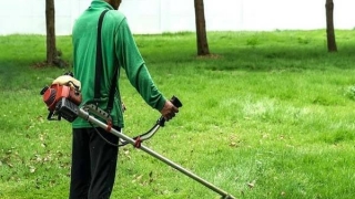 Quảng Ninh: Nhiều trường hợp nhập viện cấp cứu do sử dụng máy cắt cỏ