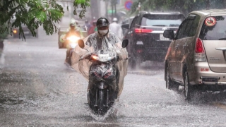 Dự báo thời tiết ngày 3/7: Bắc Bộ có mưa rào và dông, cục bộ có mưa to