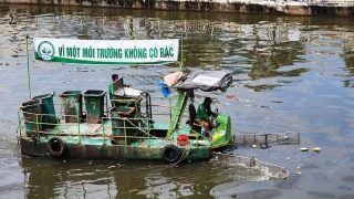 Cà Mau: Triển khai thực hiện các hoạt động hưởng ứng ngày Vệ sinh yêu nước nâng cao sức khỏe Nhân dân năm 2024