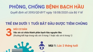 Infographic: Phòng chống bệnh bạch hầu