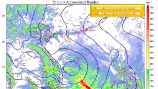 Dự báo vùng áp thấp mạnh lên thành áp thấp nhiệt đới