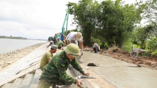 Tăng cường công tác tuần tra canh gác, đảm bảo an toàn đê điều