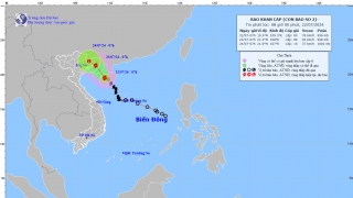 Tin bão khẩn cấp - Cơn bão số 2