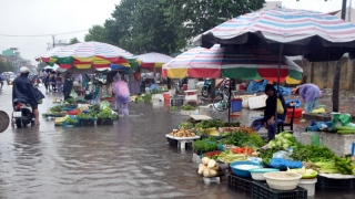 Khuyến cáo bảo đảm an toàn thực phẩm, phòng chống dịch bệnh, bảo vệ sức khỏe cộng đồng trong mùa mưa bão