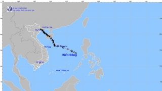 Tin cuối cùng về cơn bão số 2