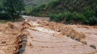 Tập trung biện pháp giảm thiểu thiệt hại về người và chủ động ứng phó mưa lũ, sạt lở đất