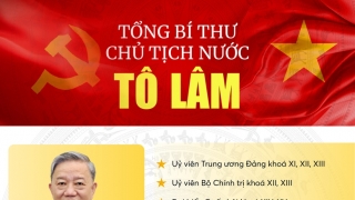 Infographic: Tóm tắt tiểu sử của Tổng Bí thư, Chủ tịch nước Tô Lâm