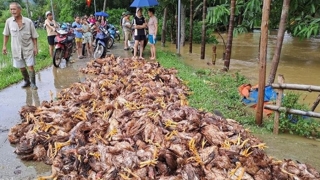 Yên Bái chịu thiệt hại lớn do mưa lũ