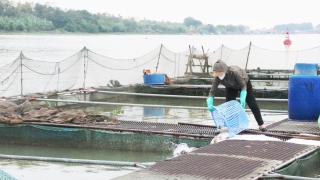 Bắc Ninh: Đảm bảo an toàn hạ du khi hồ thủy điện Hòa Bình mở cửa xả đáy thứ 3