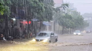 Lào Cai: Tập trung ứng phó nguy cơ mưa lũ, sạt lở đất, lũ ống, lũ quét trên địa bàn tỉnh