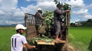 Kon Tum: Hai em nhỏ đuối nước tử vong khi rửa mạ non để phục vụ cấy lúa