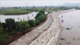 Các tỉnh, thành phố Hà Nội, Thái Nguyên, Bắc Ninh, Bắc Giang tăng cường công tác tuần tra canh gác, đảm bảo an toàn đê điều