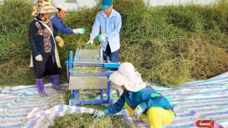 Tiếp sức cho hợp tác xã phát triển