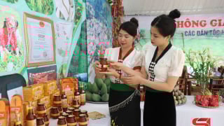 Sơn La: Mật ong Phổng Lái giữ vững tiêu chuẩn sản phẩm OCOP 4 sao cấp tỉnh