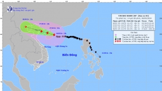 Khẩn cấp: Siêu bão YAGI còn cách Quảng Ninh khoảng 450 km