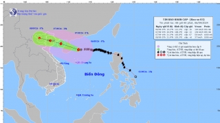 Khẩn cấp: Siêu bão YAGI cách Quảng Ninh 600 km