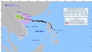 Khẩn cấp: Cơn bão số 3 cách Quảng Ninh 150 km