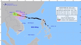 Khẩn cấp: Bão đã vào đất liền ở Quảng Ninh - Hải Phòng