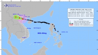 Khẩn cấp: Tâm bão trên đất liền khu vực đồng bằng Bắc Bộ cấp 10, 11, giật cấp 14