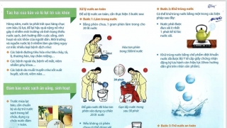 Những việc cần làm sau bão