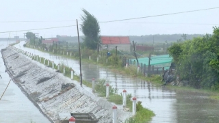 Đảm bảo an toàn đê điều ứng phó với hoàn lưu bão số 3