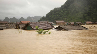 Thông tin việc vỡ đê tại Phú Thọ và Quảng Ninh là không chính xác