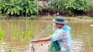 Hà Giang: Cung cấp lương thực, thực phẩm, nhu yếu phẩm phục vụ nhân dân bị ảnh hưởng bởi bão số 3