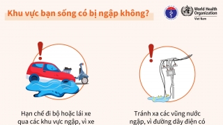 Infographic: Phòng chống dịch bệnh mùa bão lũ