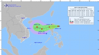 Cập nhật tình hình áp thấp nhiệt đới ngoài Biển Đông
