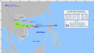 Thủ tướng chỉ đạo tập trung ứng phó áp thấp nhiệt đới có khả năng mạnh lên thành bão và mưa lũ