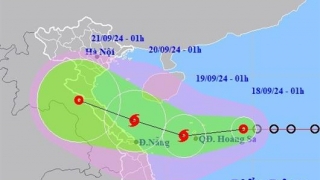 Bộ Giáo dục và Đào tạo: Chủ động ứng phó áp thấp nhiệt đới, có khả năng mạnh lên thành bão