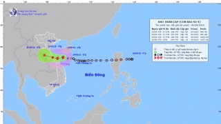 Tin bão khẩn cấp: Cơn bão số 4