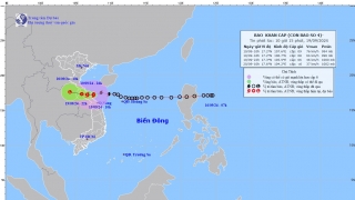 Cơn bão số 4 (bão Soulik) trên vùng biển Quảng Bình - Thừa Thiên Huế