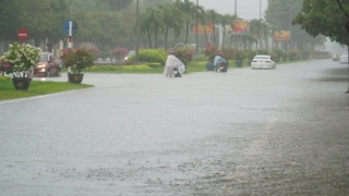 Quảng Nam: Cảnh báo mưa lớn, cho học sinh nghỉ học ngày 19/9