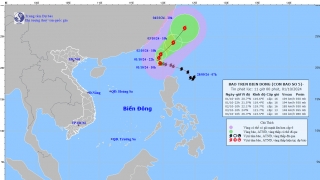 Cập nhật tình hình cơn bão số 5 - bão Krathon