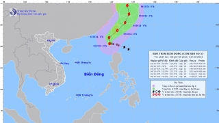 Tin bão gần Biển Đông - Cơn bão số 5 Krathon