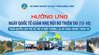 Hưởng ứng Ngày Quốc tế giảm nhẹ rủi ro thiên tai 13/10/2024