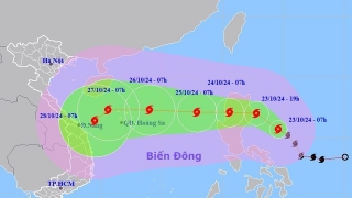 Hải Phòng: Chủ động ứng phó với áp thấp nhiệt đới có khả năng mạnh lên thành bão và đi vào biển Đông