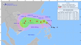Cập nhật tình hình bão gần Biển Đông - cơn bão TRAMI