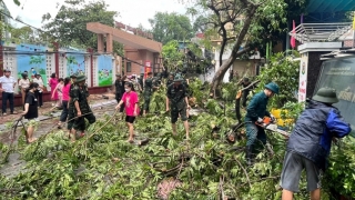 Bộ Giáo dục và Đào tạo hướng dẫn khen thưởng thành tích xuất sắc đột xuất trong phòng, chống bão, lụt