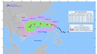Câp nhật tình hình bão TRAMI trong sáng 24/10