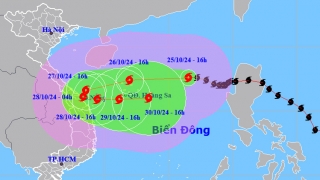 Đà Nẵng: Chủ động ứng phó với bão số 6 có diễn biến phức tạp