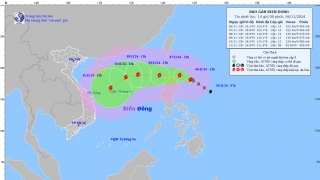 Tin bão gần Biển Đông