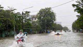 Quảng Nam yêu cầu khắc phục hậu quả mưa lớn và chủ động ứng phó bão Yinxing