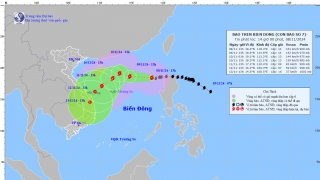 Cập nhật cơn bão số 7 (Yinxing) tính đến 13h chiều ngày 8/11