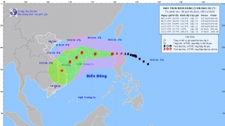 Tin bão trên Biển Đông - Cơn bão số 7