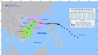 Cập nhật tình hình cơn bão số 7 (YINXING) tính đến 7h sáng ngày 9/11